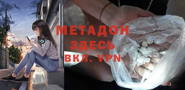индика Козельск