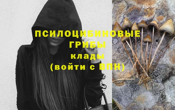 эйфоретик Краснотурьинск