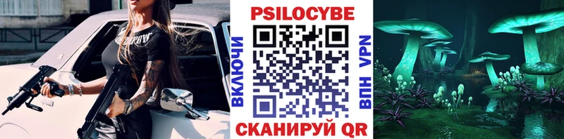 Галлюциногенные грибы Psilocybe  Михайловка 